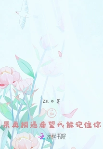 If We Meet Again, I Hope I Can Remember You