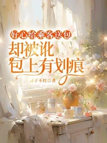 I Was Kind Enough to Deliver a Bag to a Passenger, but I Was Told That the Bag Had Scratches on It