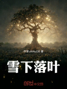 Fallen Leaves under Snow