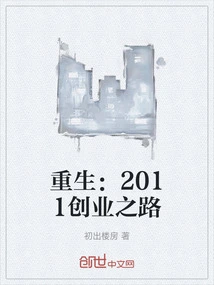 Rebirth: the Road to Entrepreneurship in 2011