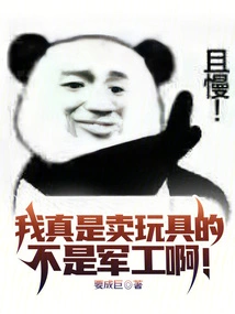 I Really Sell Toys, Not Military Industry!