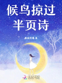 Migratory Birds Fly over Half a Page of Poetry