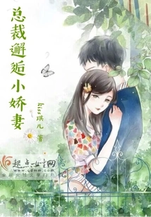 The Ceo Meets His Lovely Wife