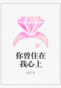 You Used to Live in My Heart