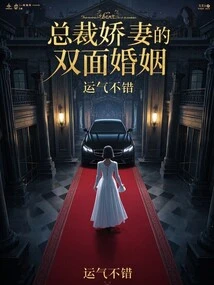 The Ceo's Wife's Double Marriage