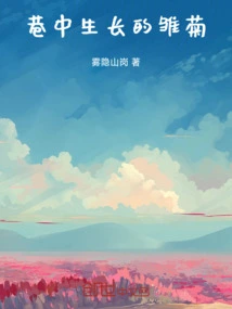 Daisies Growing in the Alley