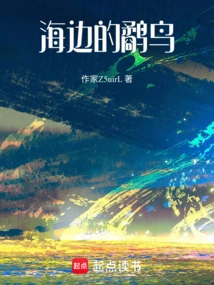 Sandpiper on the Beach