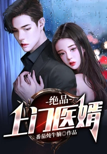 Excellent Home Son-in-law