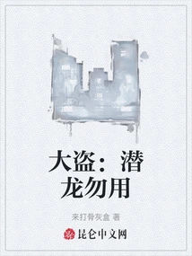 Thief: Do Not Use Qianlong