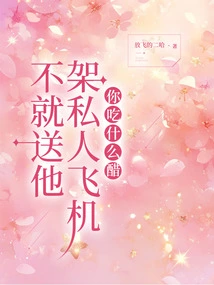 Why Are You Jealous If You Don't Give Him a Private Jet?