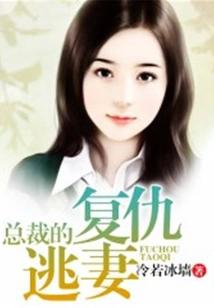 Ceo's Revenge and Fugitive Wife