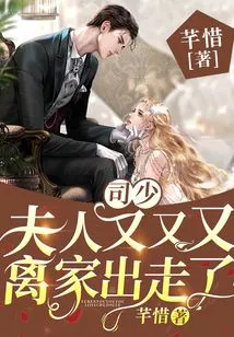 Mr. Si, My Wife Ran Away from Home Again