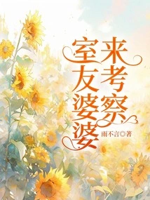 My Roommate's Mother-in-law Came to Inspect