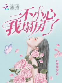 I Accidentally Collapsed My House