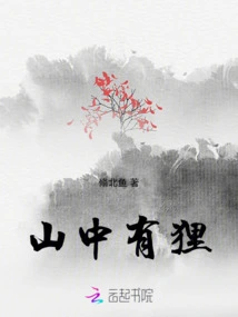 There is a Raccoon in the Mountains