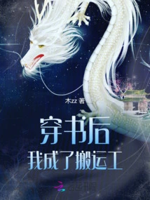 After I Became a Porter, I Became a Porter