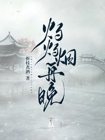 Burning Smoke Boat Night