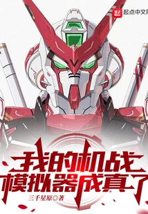 My Aircraft Combat Simulator Has Come True