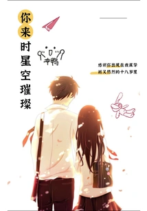 The Sky Was Bright When You Came