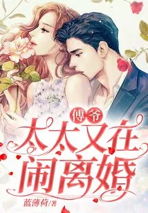 Mr. Fu, My Wife is Divorcing Again