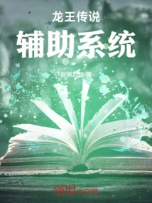 Dragon King Legend Auxiliary System