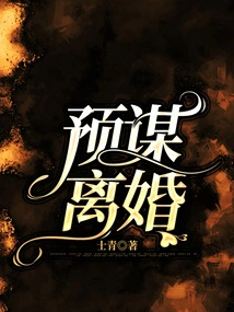 Premeditated Divorce