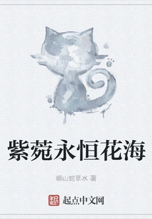 Aster Eternal Flower Sea