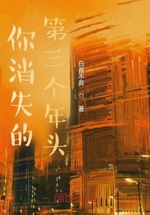 The Third Year Since You Disappeared