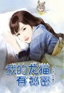 My Chinchilla Has a Secret