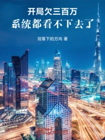 I Owe Three Million at the Beginning, and the System Can't Stand it Anymore