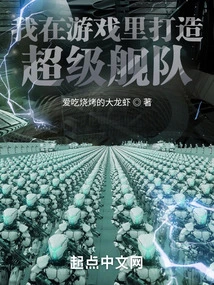 I Build a Super Fleet in the Game