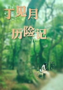 The Adventures of Ding Jianyue