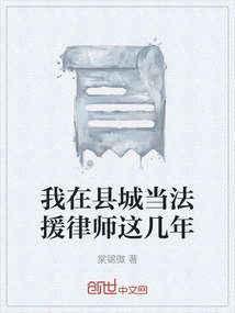 I Have Been Working as a Legal Aid Lawyer in the County for the Past Few Years