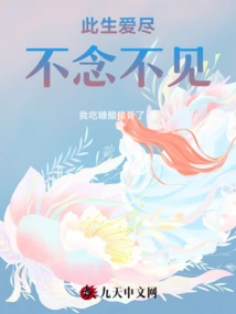 I Will Love You so Much in This Life, Never Think About It, Never See it Again