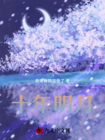 Ten Years of Bright Moon