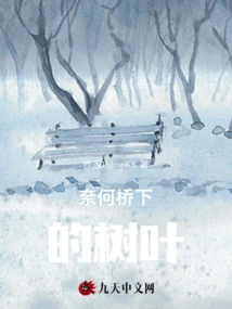 The Leaves under the Bridge