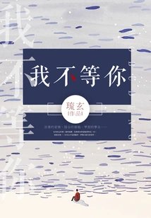 I Won't Wait for You