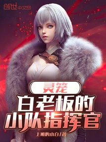 Spirit Cage: Boss Bai's Team Commander