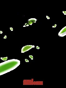 The Ordinary Me Traveled Through Time and Became the Best Killer in the World