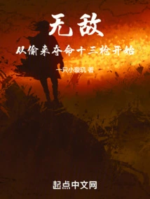 Invincible: Starting from the Thirteen Stolen Deadly Guns