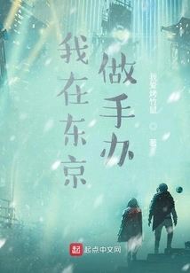 I'm Making Figures in Tokyo