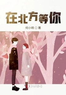 Waiting for You in the North