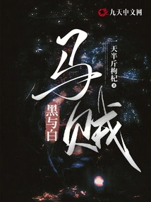 Black and White: Horse Thief