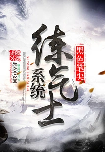 System Qi Practitioner