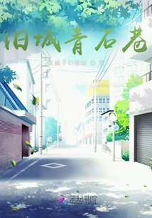 Old Town Qingshi Alley