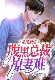 Dragon and Phoenix: It's Hard for a Sinister Ceo to Seduce His Wife