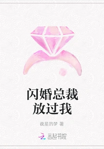 Flash Marriage Ceo, Let Me Go