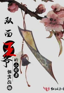 The Little Wife of the Double-faced Prince