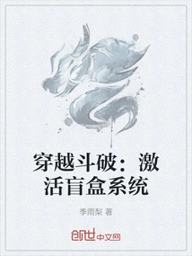 Time Travel: Activate the Blind Box System