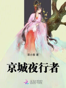 Capital Night Walker